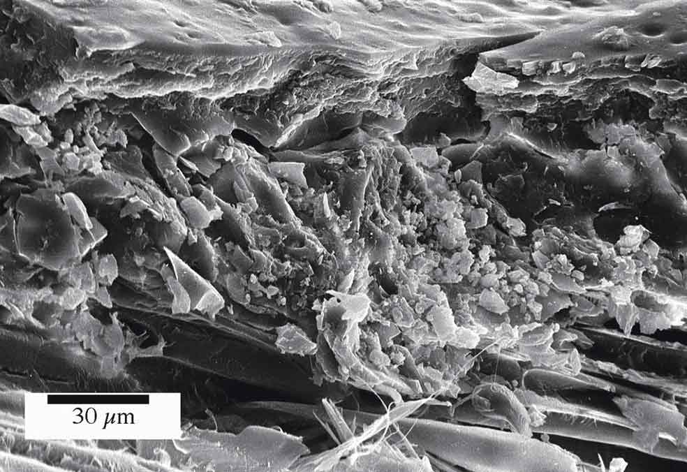 Los expertos han examinado el barniz que aplicó Antonio Stradivari a los instrumentos que fabricó: contiene una mezcla de sílice, carbón, carbonato de potasio y cenizas. Esta masa la pulverizaba y cocía. La dejaba secar durante semanas y luego la untaba en los instrumentos: endurecía la madera y aumentaba su capacidad de vibración.
