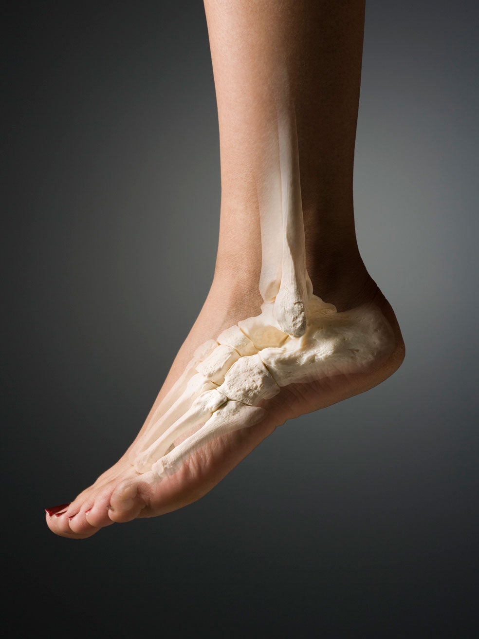 El pie, junto al tobillo, conforma una estructura mecánica que cuenta con 26 huesos. Los 52 que constituyen los dos pies son un 25% de los huesos de todo el cuerpo.