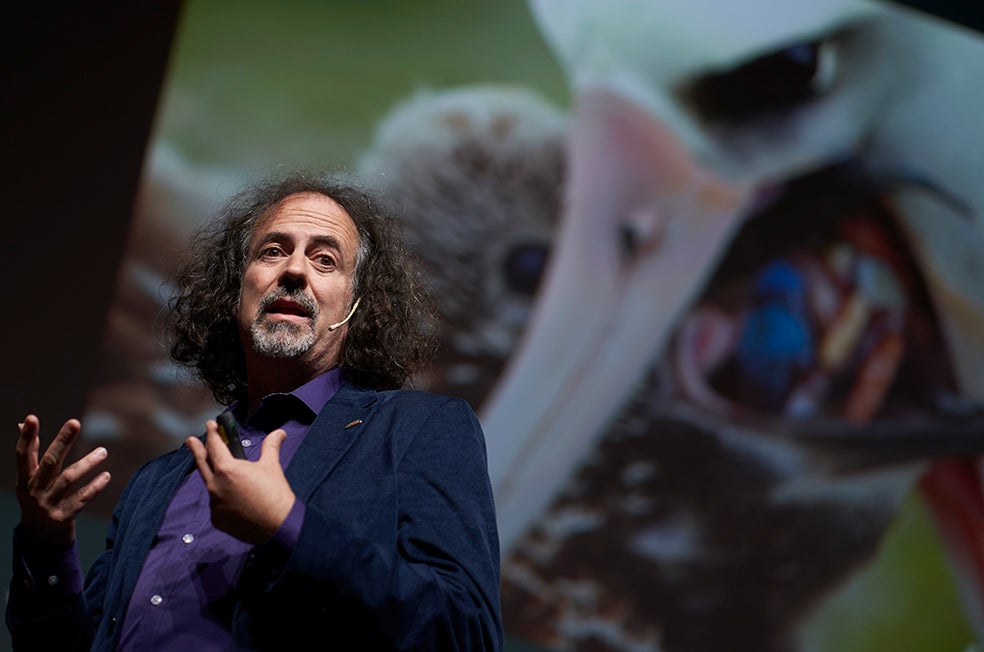 Manuel Maqueda, ante la imagen de un albatros alimentando a su cría con plástico. Durante su intervención en la II edición del Foro Internacional de Excelencia Turística y Sostenibilidad Turium, celebrado en Vitoria-Gasteiz, hizo hincapié en apostar por la regeneración.