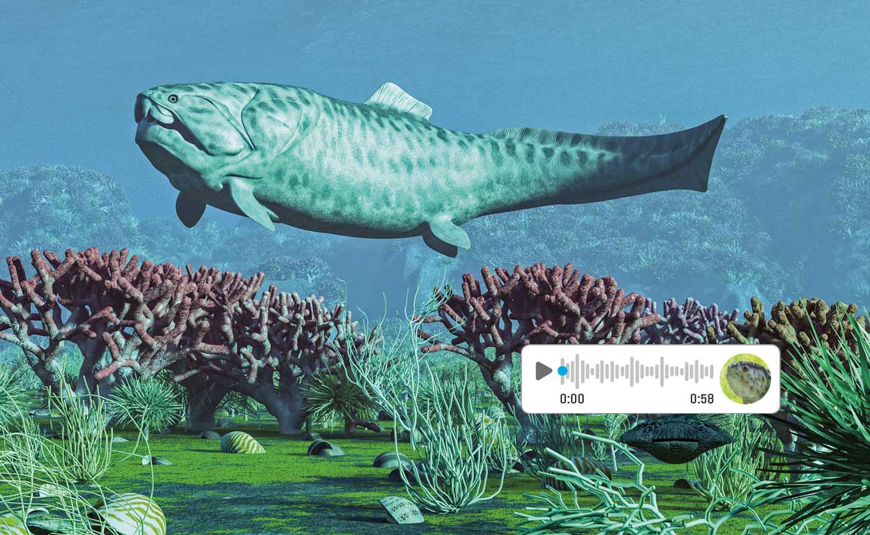 El pedo de arenque que causó un conflicto internacional y otros raros sonidos animales