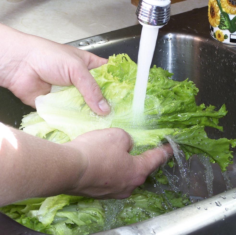 Imagen - EN UNA ENSALADALa sugerencia de lavar bien los alimentos antes de consumirlos parece muy sensata en un mundo lleno de pesticidas. Pero el abuso de compuestos antimicrobianos, desde la práctica de lavar la lechuga con cloro hasta los jabones líquidos esterilizadores de manos, acaba con todos los gérmenes, no solo con los patógenos. Lo mejor es lavar, pero sin pasarse.