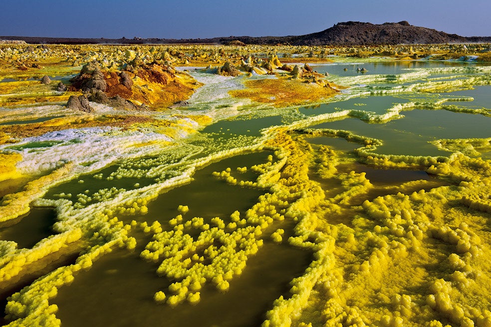 Los científicos han detectado en esta zona de calor extremo –se superan los 50 grados– microorganismos capaces de sobrevivir en grandes concentraciones de sal y a más de 100 grados de temperatura.