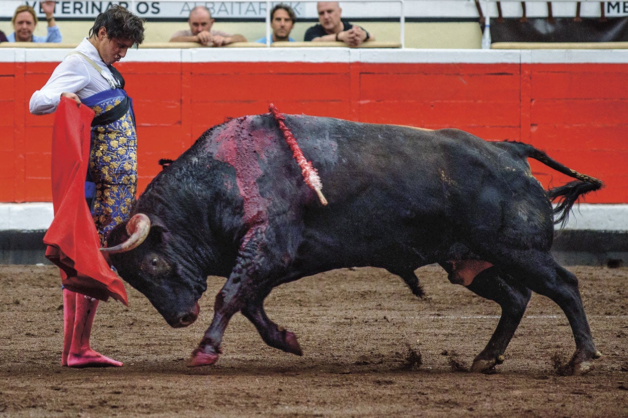Conmoción absoluta es lo que causó Roca Rey el 25 de agosto en Bilbao. Considerada la mejor faena del año, el diestro fue cogido por su primero (aunque acabó matándolo) y desoyó a los médicos y a su entorno para lidiar su segundo. Lo hizo a tumba abierta, se llevó tres orejas y acabó en una clínica.