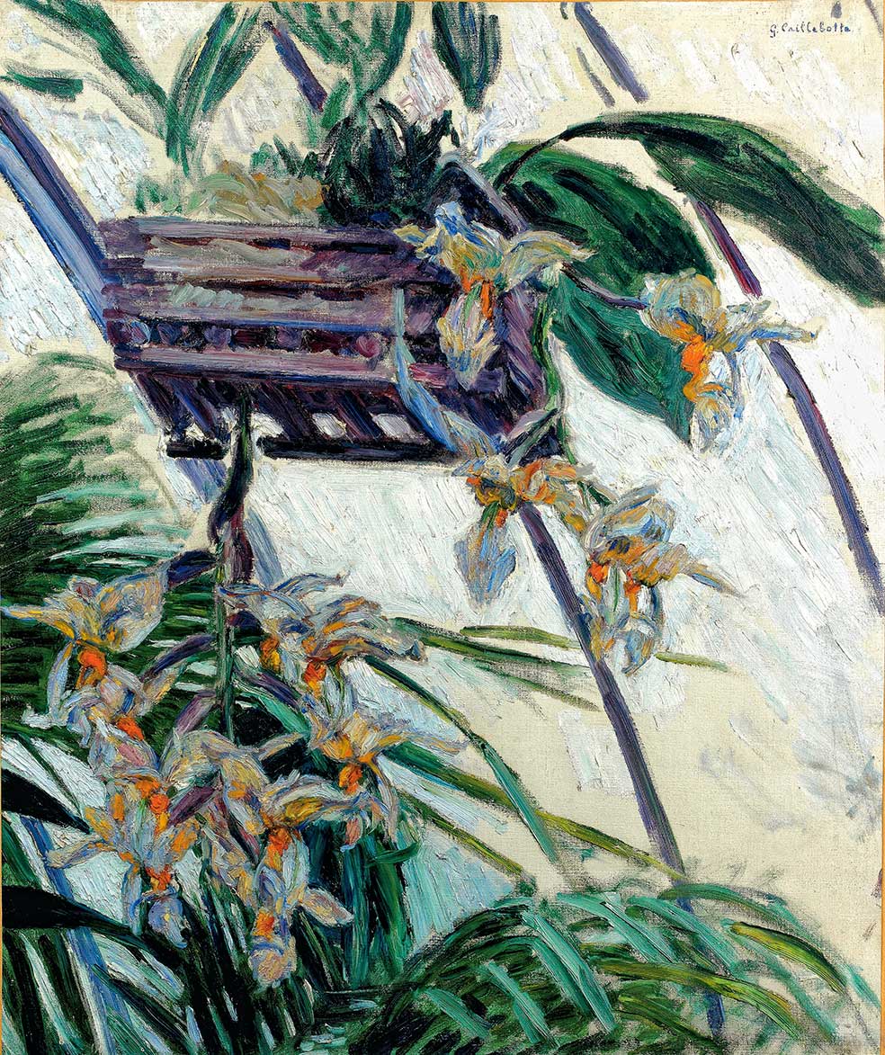 Gustave Caillebotte fue un magnífico jardinero. Se intercambiaba semillas con Monet. Estas son orquídeas de su último invernadero.