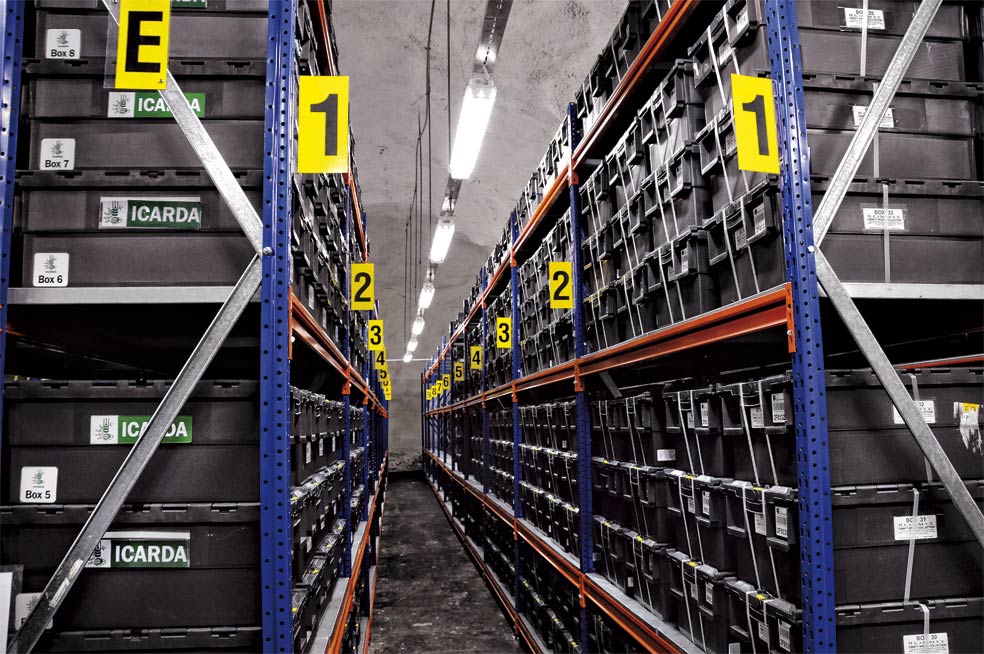 Es el mayor banco de semillas del planeta. Resiste erupciones volcánicas, terremotos e incluso ataques con misiles nucleares. Se encuentra en el archipiélago de Svalbard (Noruega).