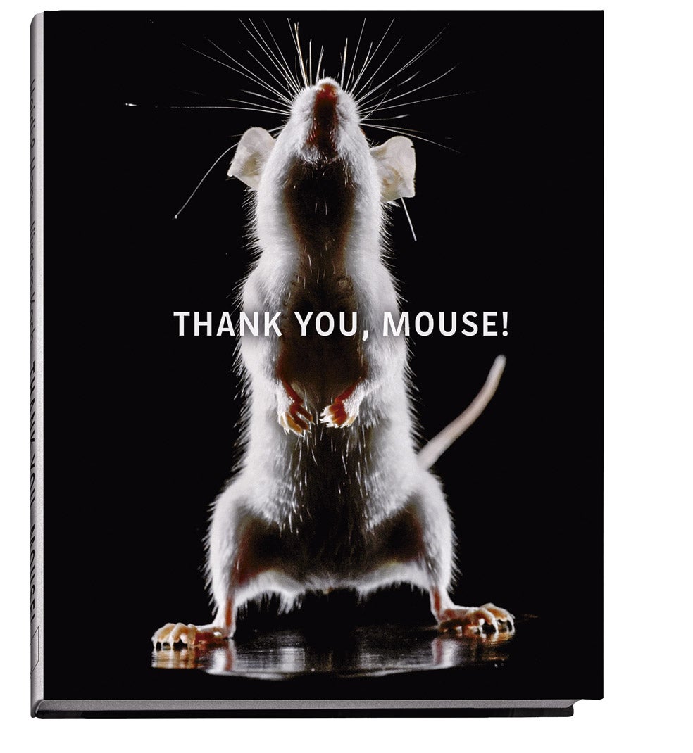 Imagen - Las imágenes de este reportaje han sido extraídas del libro 'Thank you, mouse!', con fotografías de Heidi & Hans-Jürgen Koch y editado por Edition Lammerhuber.