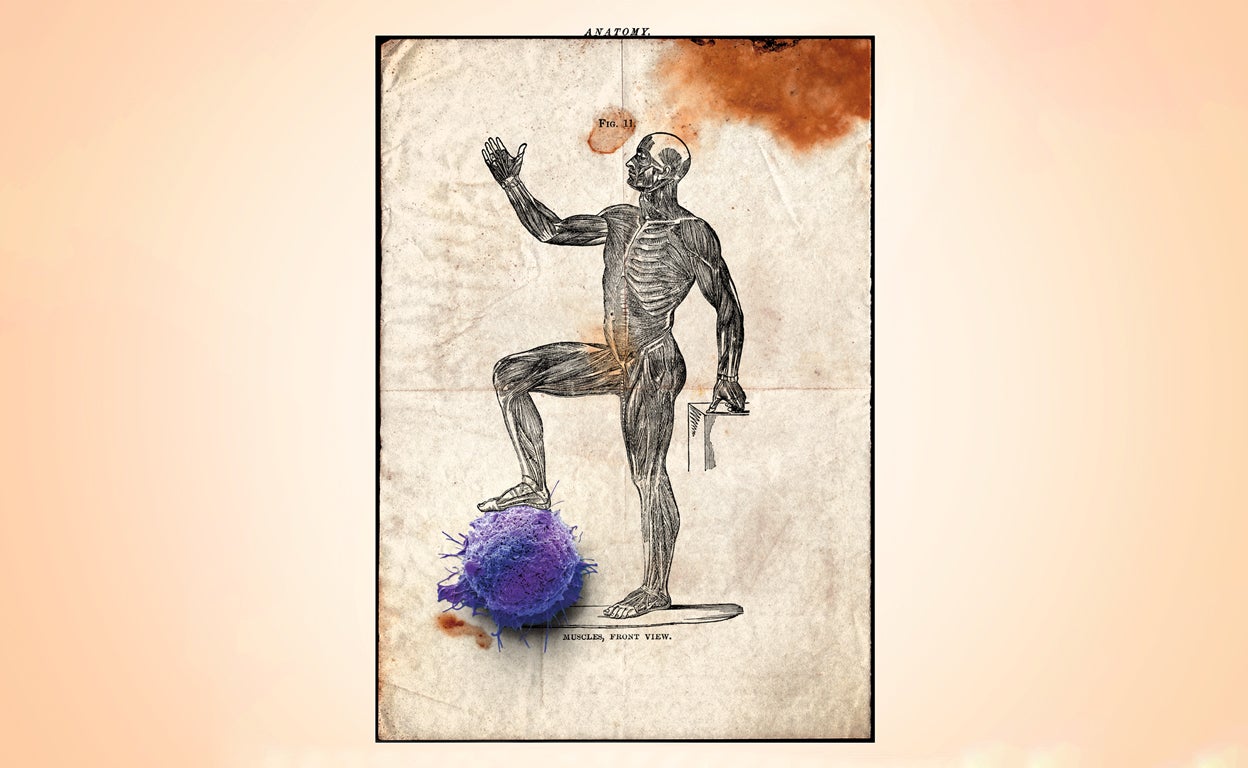 Cerco a la metástasis: los científicos españoles que luchan contra la célula viajera