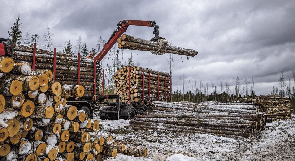 Los bosques rusos (como el de la foto, en Vologda, a 500 kilómetros de Moscú) son grandes proveedores de papel en Europa. Las restricciones comerciales por la invasión de Ucrania generaron problemas de suministro de cartón (y de papel higiénico) que se ha salvado con importaciones de Finlandia y Suecia.