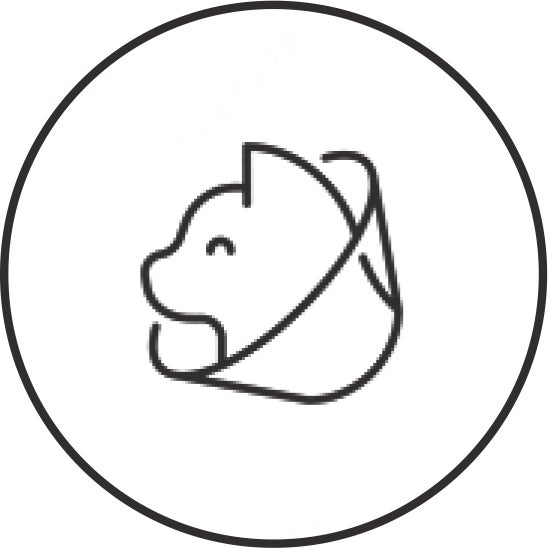 Imagen - Los collares isabelinos, en el origenEl cartón ondulado (o corrugado) se puso de moda en el siglo XVI por una prenda que cubría el cuello y que tenía una forma rizada y que puso de moda la emperatriz Isabel de Portugal. Se llamaba 'gorguera' o 'lechuguilla' y es típica de los retratos de la nobleza de la época. Hoy, el collar isabelino se utiliza en los cuidados veterinarios.