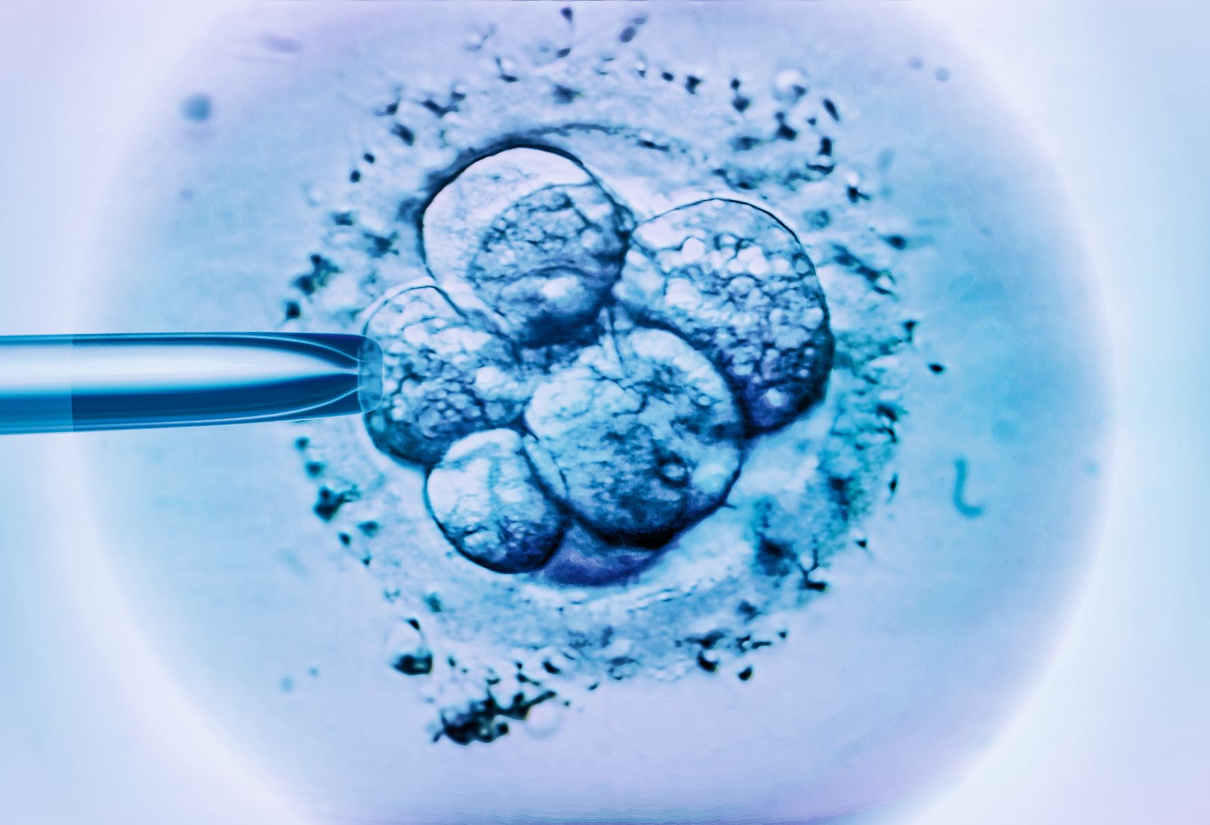 El doctor He manipuló el ADN de dos embriones para hacerlos resistentes al sida y se los implantó a una mujer, que dio a luz a dos gemelas. Lo hizo en 2018 sin informar a ninguna autoridad y saltándose todos los protocolos y lo pagó con la cárcel. Sobre su estancia en la cárcel no quiere hablar.