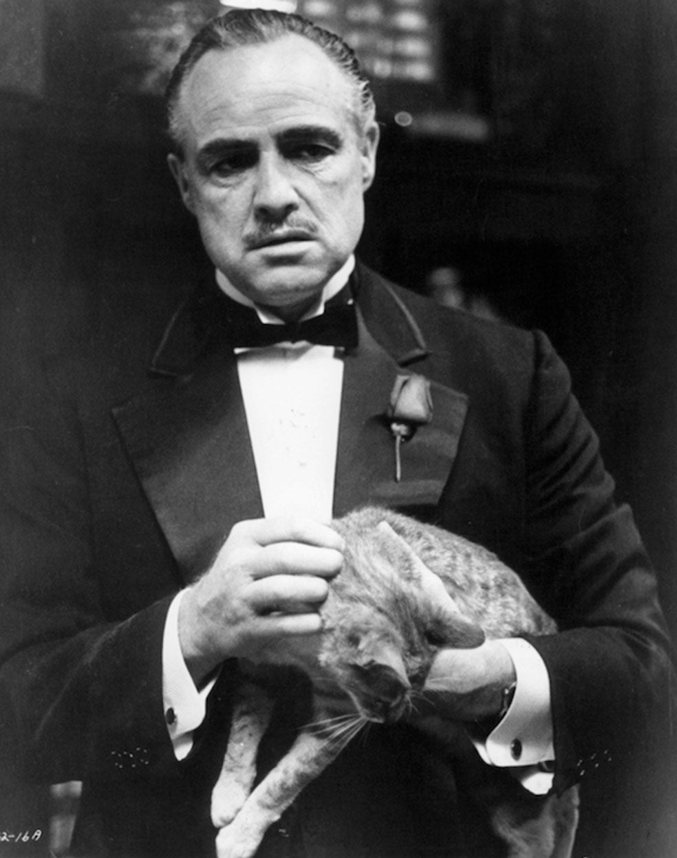 Francis Ford Coppola se empeñó en hacer una prueba a Brando cuando era un ídolo caído. Lo visitó y el actor lo dejó boquiabierto al inventar él mismo a Vito Corleone, protagonista de El Padrino. Ganó el Oscar, pero no fue a recogerlo.