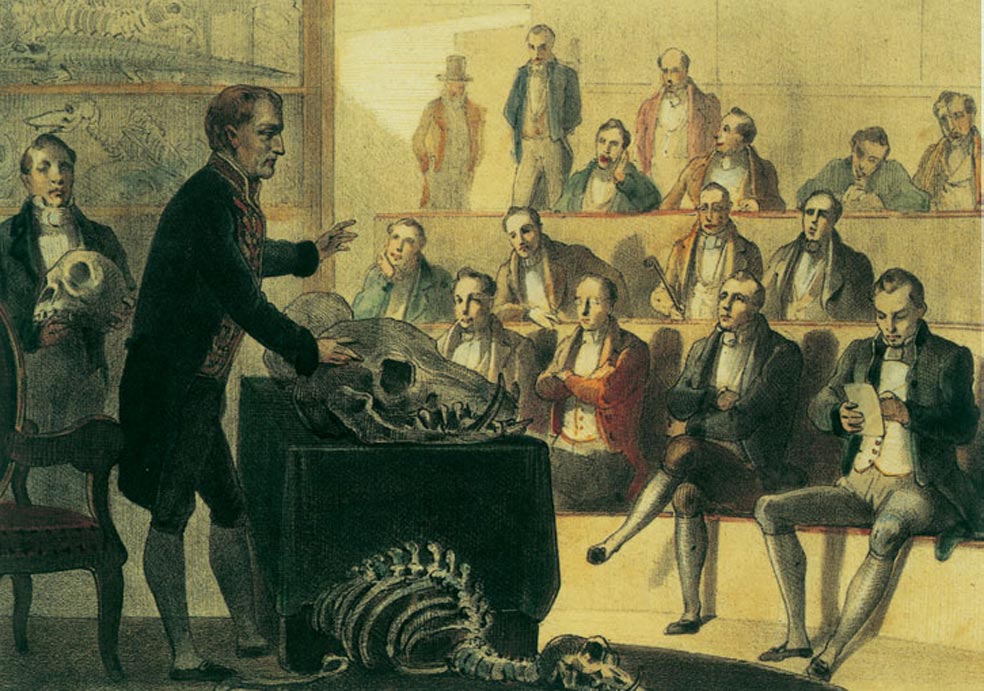 Antes de que Darwin plantease su teoría de la evolución de las especies, hacia finales del siglo XVIII, el barón de Cuvier y Georges-Louis Leclerc, conde de Buffon, daban ya conferencias sobre los esqueletos fósiles de animales extinguidos. A Cuvier se le atribuye la invención de la paleontología. Los debates en el Museo de Historia Natural de París [en la imagen] eran más populares que las tertulias literarias de la época. Las élites, normalmente educadas en literatura e historia, se familiarizaron con la ciencia y empezaron a crear las academias científicas en las que se llegaban a organizar competiciones.