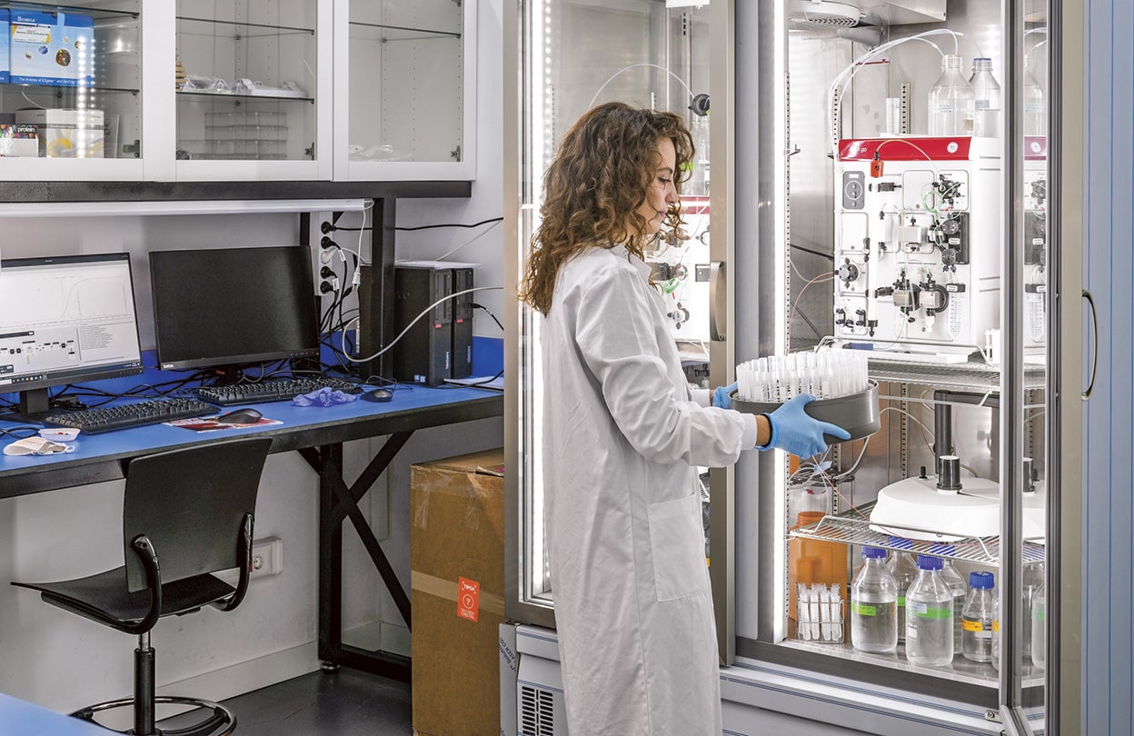 Telum Therapeutics es la única empresa española que desarrolla enzibióticos, productos con enzimas de fagos modificadas para hacerlas más potentes y evitar resistencias. Trabajan contra siete bacterias calificadas de muy peligrosas por la OMS. «En seis años podríamos llegar al mercado –dice su CEO, Roberto Díez–. O antes... si hubiera más financiación».