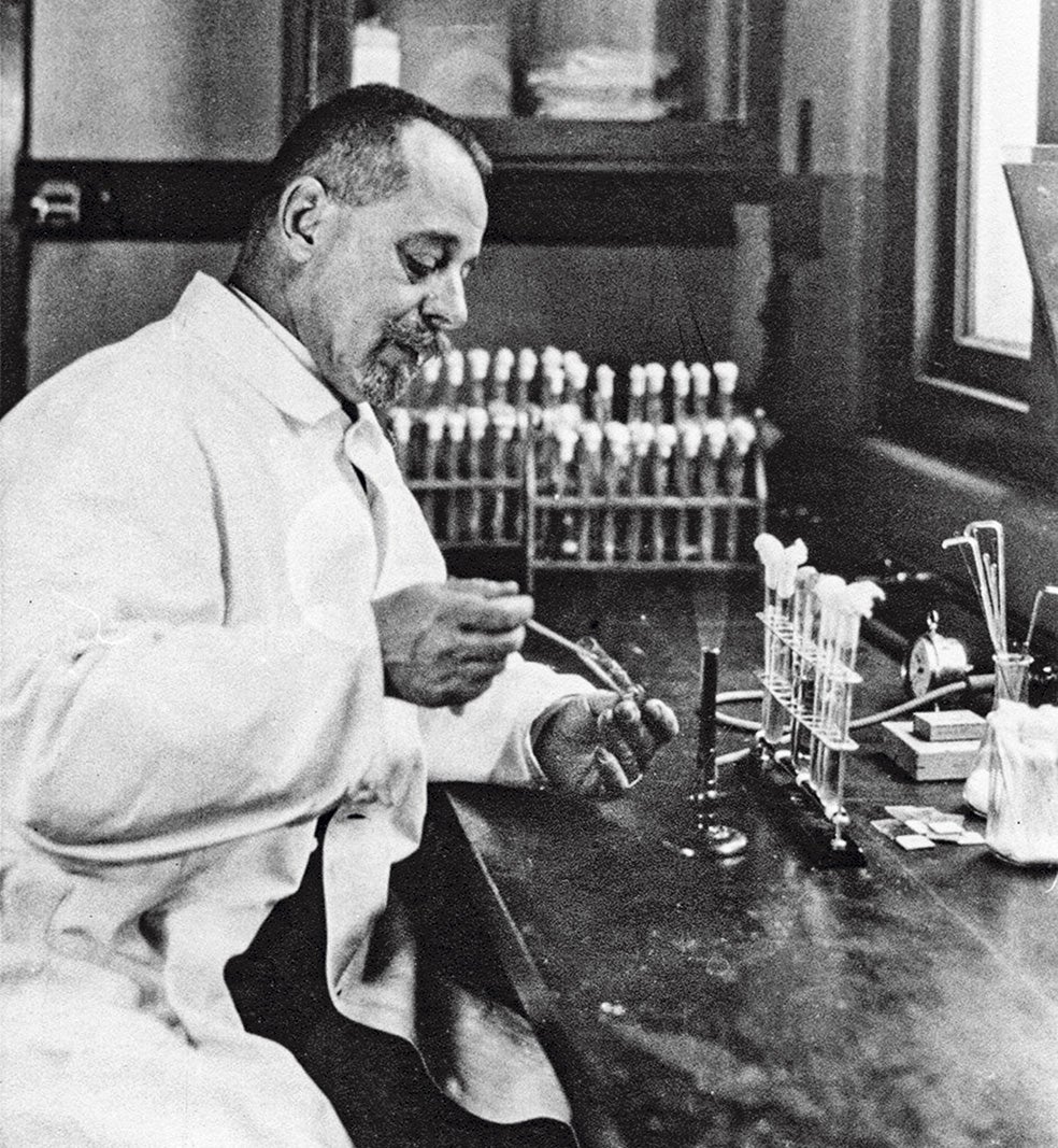 Félix d'Herelle, microbiólogo del Instituto Pasteur, creó la fagoterapia en 1917, propiciando así una revolución que mejoró el tratamiento contra las infecciones bacterianas. Los fagos parecían llamados a triunfar, pero los hallazgos de Fleming sobre la penicilina, en 1928, frenaron su uso en favor de los antibióticos.