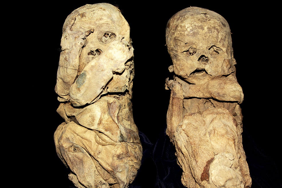 Uno de los hallazgos más sorprendentes fue el de dos bebés momificados. La investigación probó que eran dos niñas muertas durante el parto o poco después y que tenían un esqueleto fuerte y sano. Que embalsamasen hasta niños confirma el fuerte vínculo de los chachapoyas con la muerte.