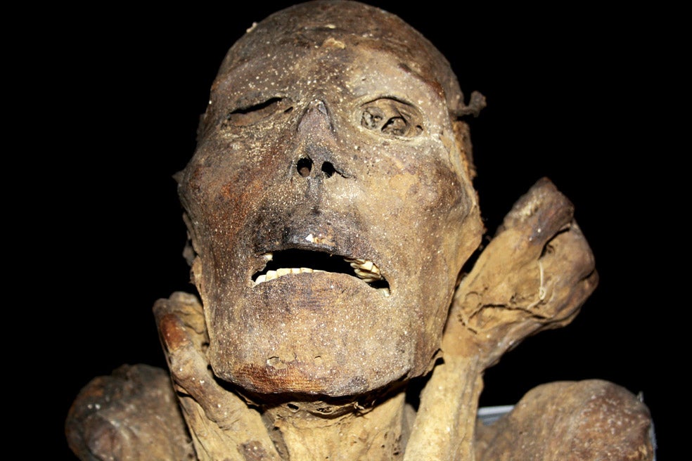 Para preservar los rasgos faciales, rellenaban con algodón y fibras vegetales las fosas nasales, debajo de las mejillas y la boca. Las partes delicadas como los dedos de manos y pies los sujetaban con una soguilla. Raspaban la piel para eliminar el vello.