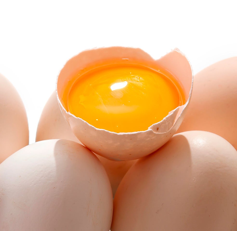 Imagen - ColinaYema de huevo, ternera, pollo, lechuga. Todos contienen colina, un nutriente esencial para las funciones cognitivas.