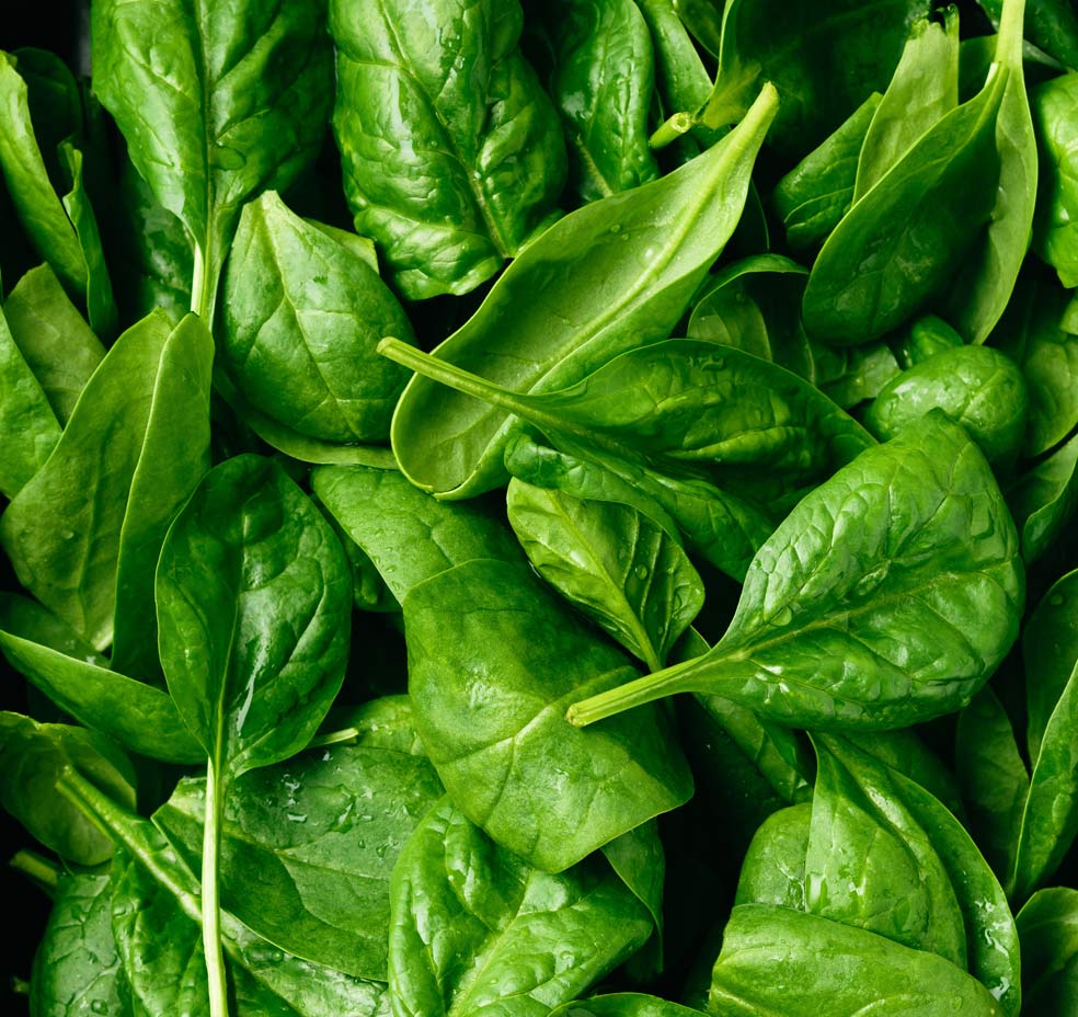 Imagen - Ácido fólicoToma espinacas y zumo de naranja. El ácido fólico es esencial para las funciones cognitivas.