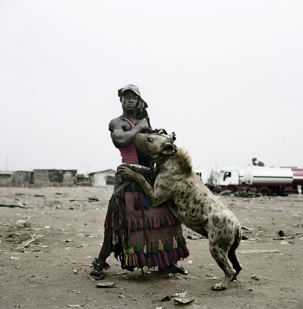 La hiena es muy temida en África. La superstición la ha convertido en aliada de brujos y demonios y sirve a algunos hechiceros para generar temor y reverencia.