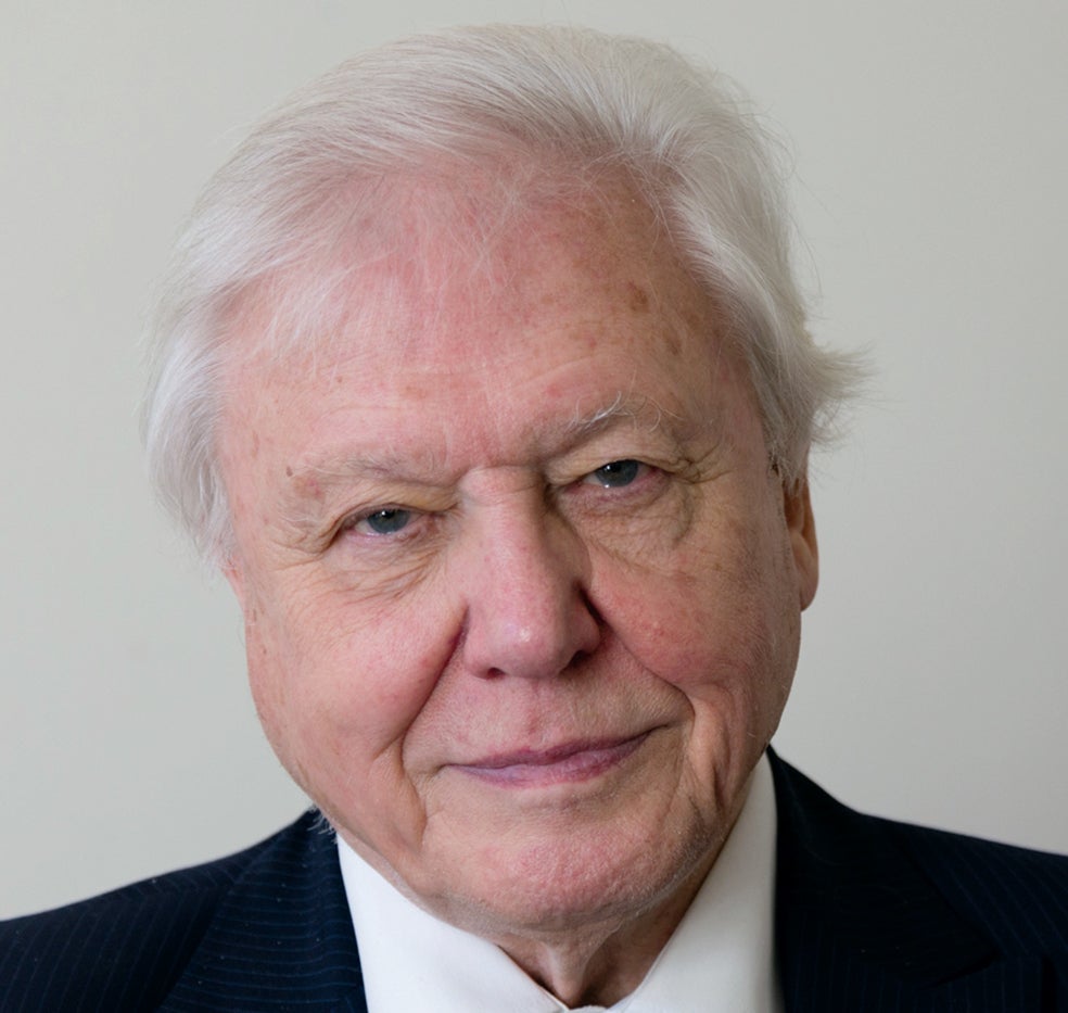 Imagen - David AttenboroughNaturalista. Estudió Antropología. «Fue maravilloso», recuerda, aunque antes de terminar se incorporó ya a la BBC, donde arrasó con su programa.