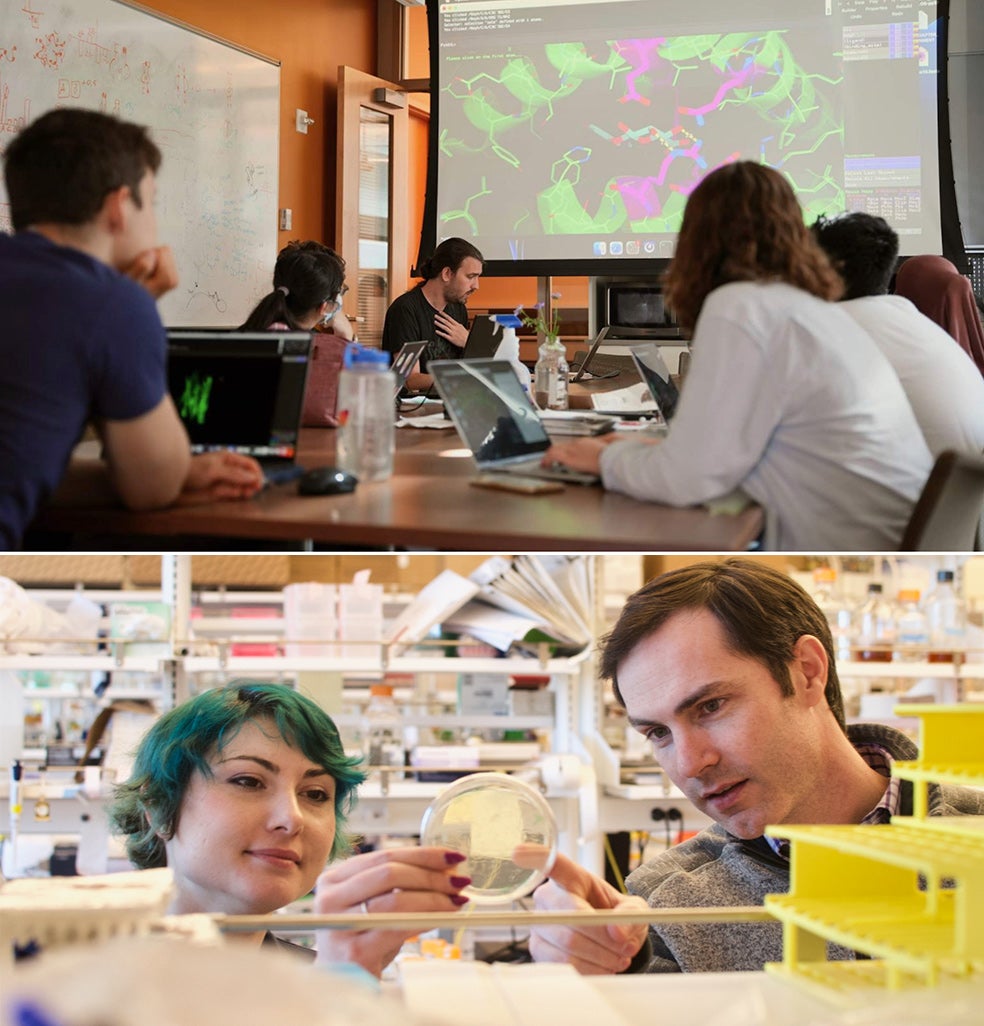 El equipo de Baker coordina inteligencia artificial y biología para crear en su laboratorio proteínas que puedan convertirse en fármacos o nuevos materiales.