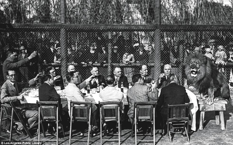 Un grupo de empresarios almuerza junto con Numa, el león que inspiró al de las películas de Tarzán, y ofrece un brindis por él ante la mirada de visitantes del parque.