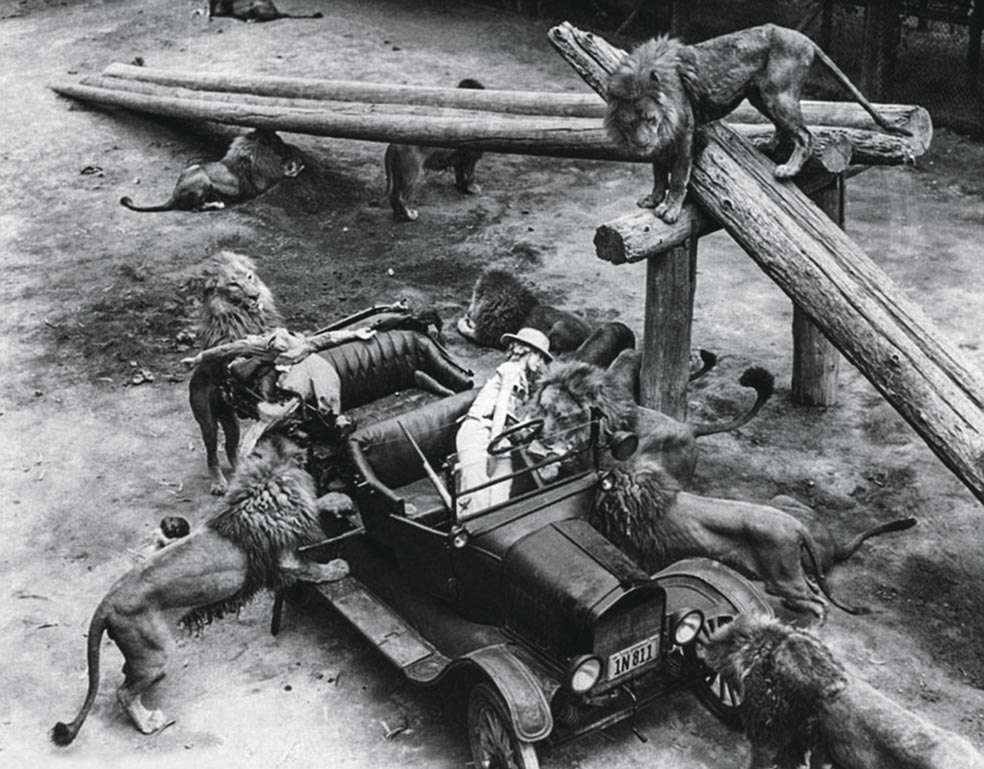 Los leones disponían de varios recintos en el parque, incluso este con coche y dos muñecos para jugar...