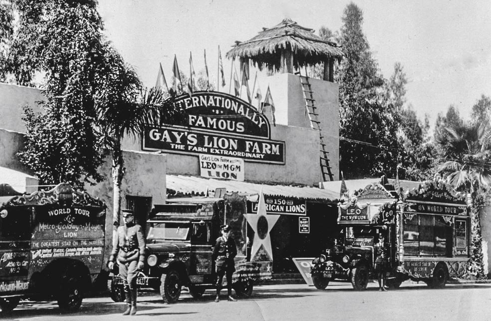 En pleno despunte del cine como fenómeno de masas, los Gay vieron rápidamente el negocio. Su granja de entrenamiento acabó siendo también un concurrido parque de atracciones para turistas.