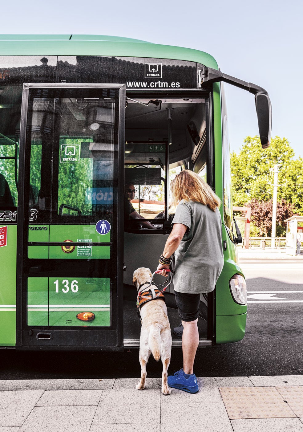 La instructora de movilidad, Pilar Legidos enseña a un perro guía a subir al autobús.