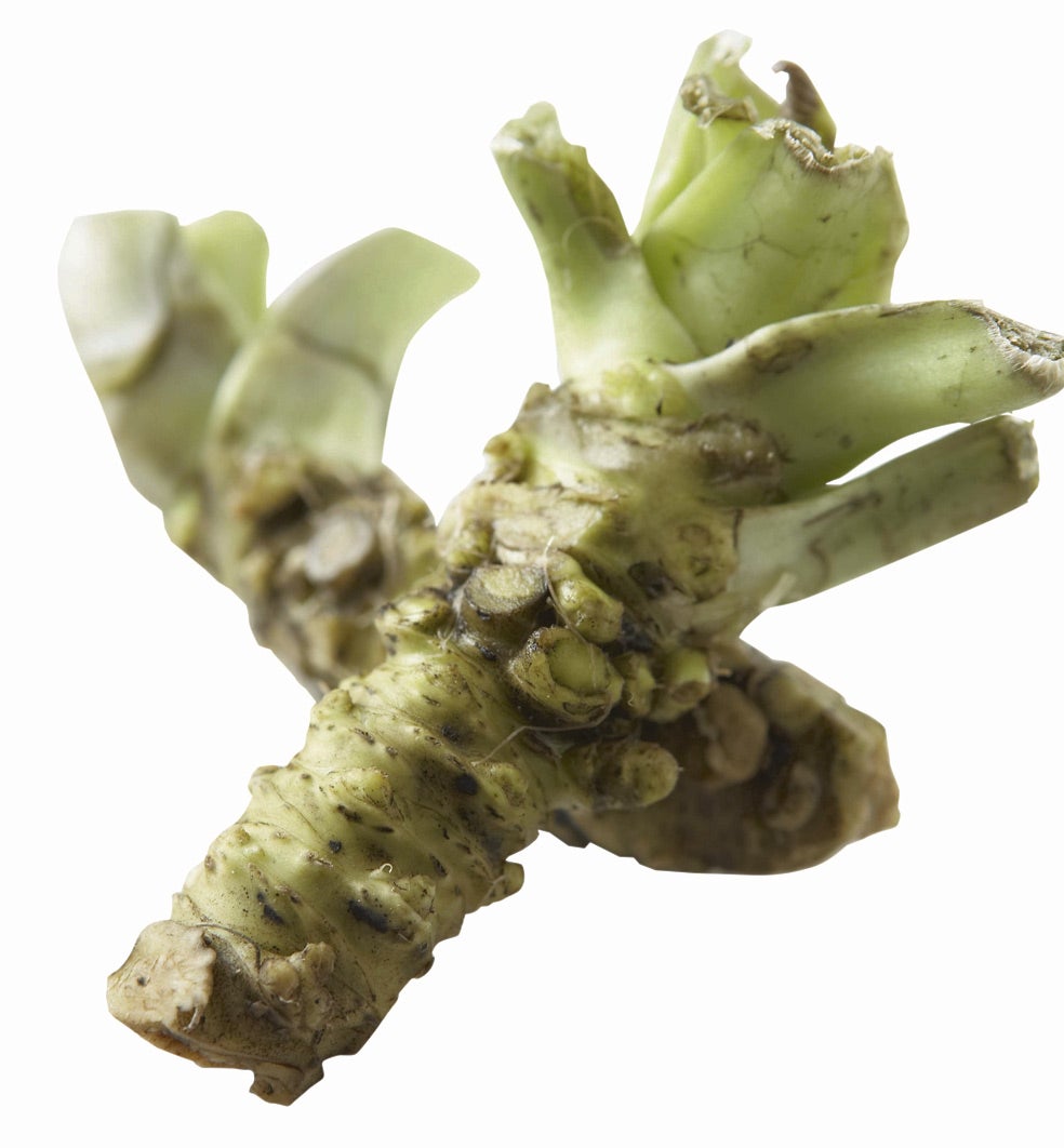 Imagen - DE WASABIEmpezó a comercializarse en Sundaes and Cones, una conocida heladería de Nueva York, pero ya se puede encontrar en algunos grandes supermercados. De hecho, en Alemania tuvo un gran éxito el año pasado. También se elaboran helados de maíz y de jengibre.