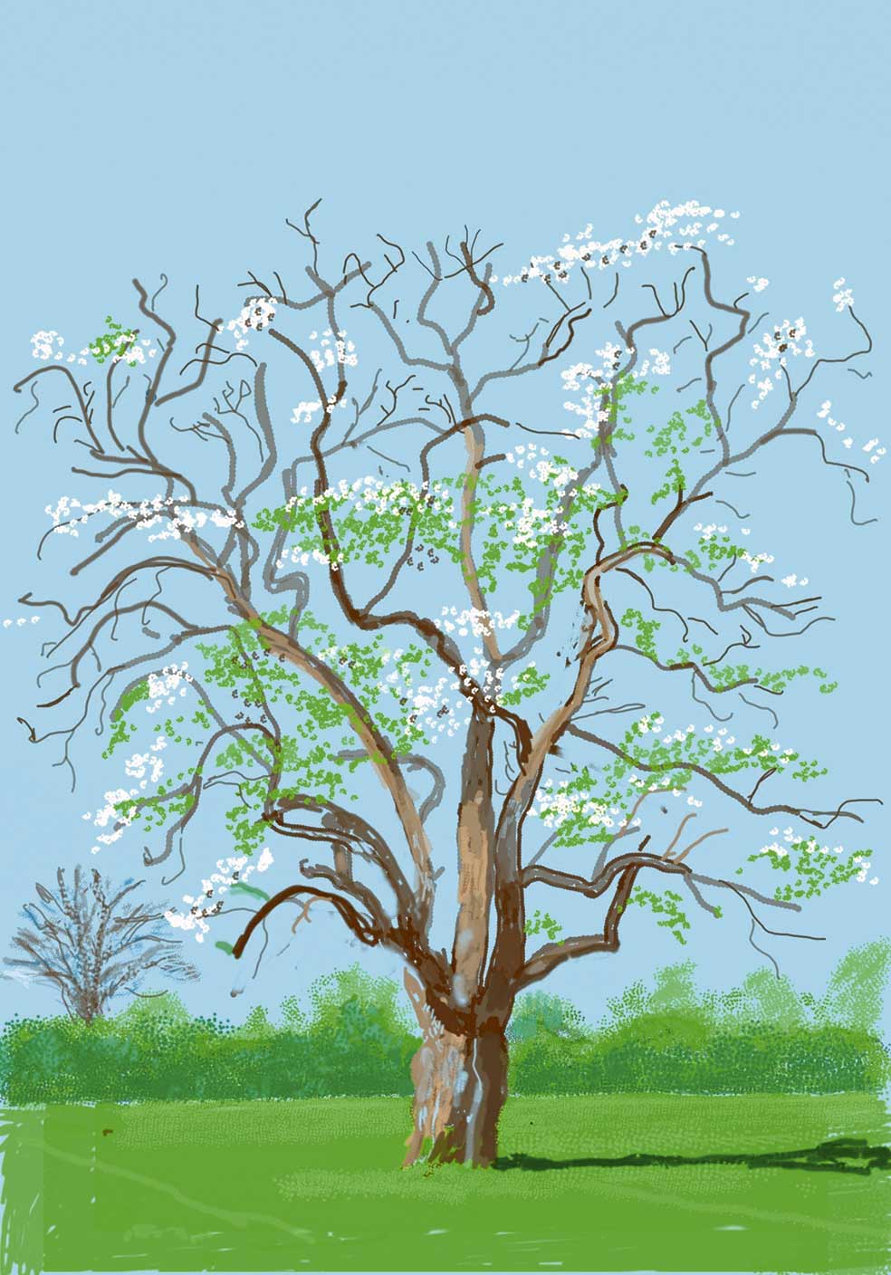 Días más tarde, compartió este árbol florecido con el comentario: «No importa cómo fue el día de ayer, los pájaros siempre empiezan el nuevo día con una canción».