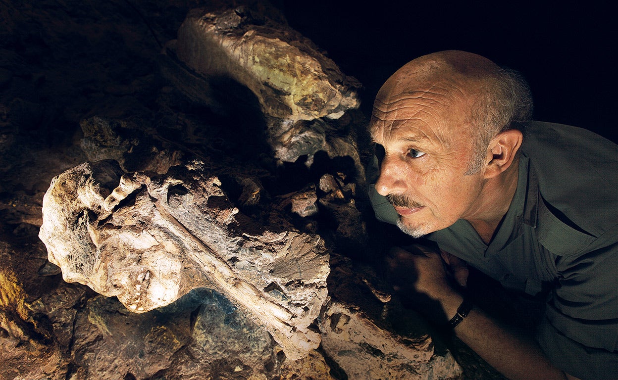 La batalla por el eslabón perdido: cuando los paleontólogos se levantan en armas