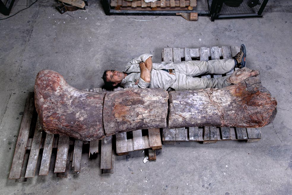 El paleontólogo Pablo Puerta junto al fémur del gigante dinosaurio desenterrado en 2013 en la Patagonia argentina, en Chubut, y que se ha dado a conocer hace unos pocos años.