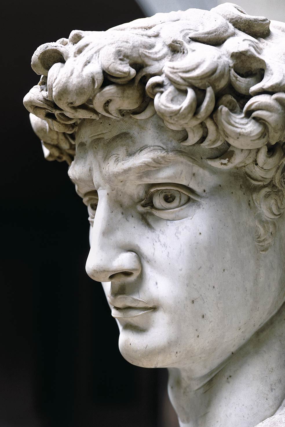 Su David rompió moldes: fue el primero en ser representado a punto de entrar en combate; otros, como Verrocchio, Ghiberti o Donatello, lo mostraron ya victorioso.