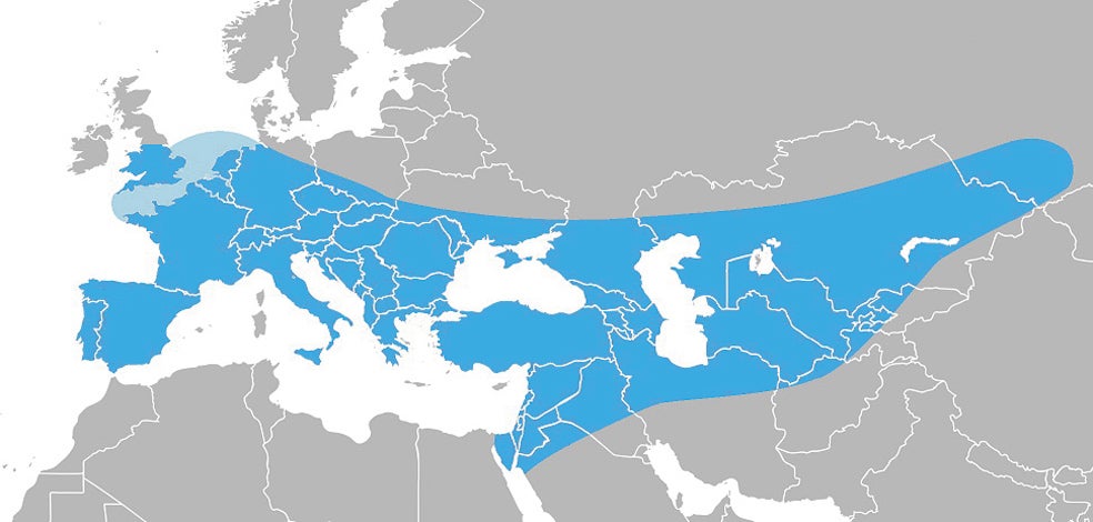 El neandertal habitó Europa y partes de Asia occidental de 230.000 hasta 29.000 años atrás, durante el Paleolítico Medio. Se extendió desde el Atlántico hasta Uzbekistán y desde Inglaterra hasta el Mediterráneo sin llegar a pasar a África.