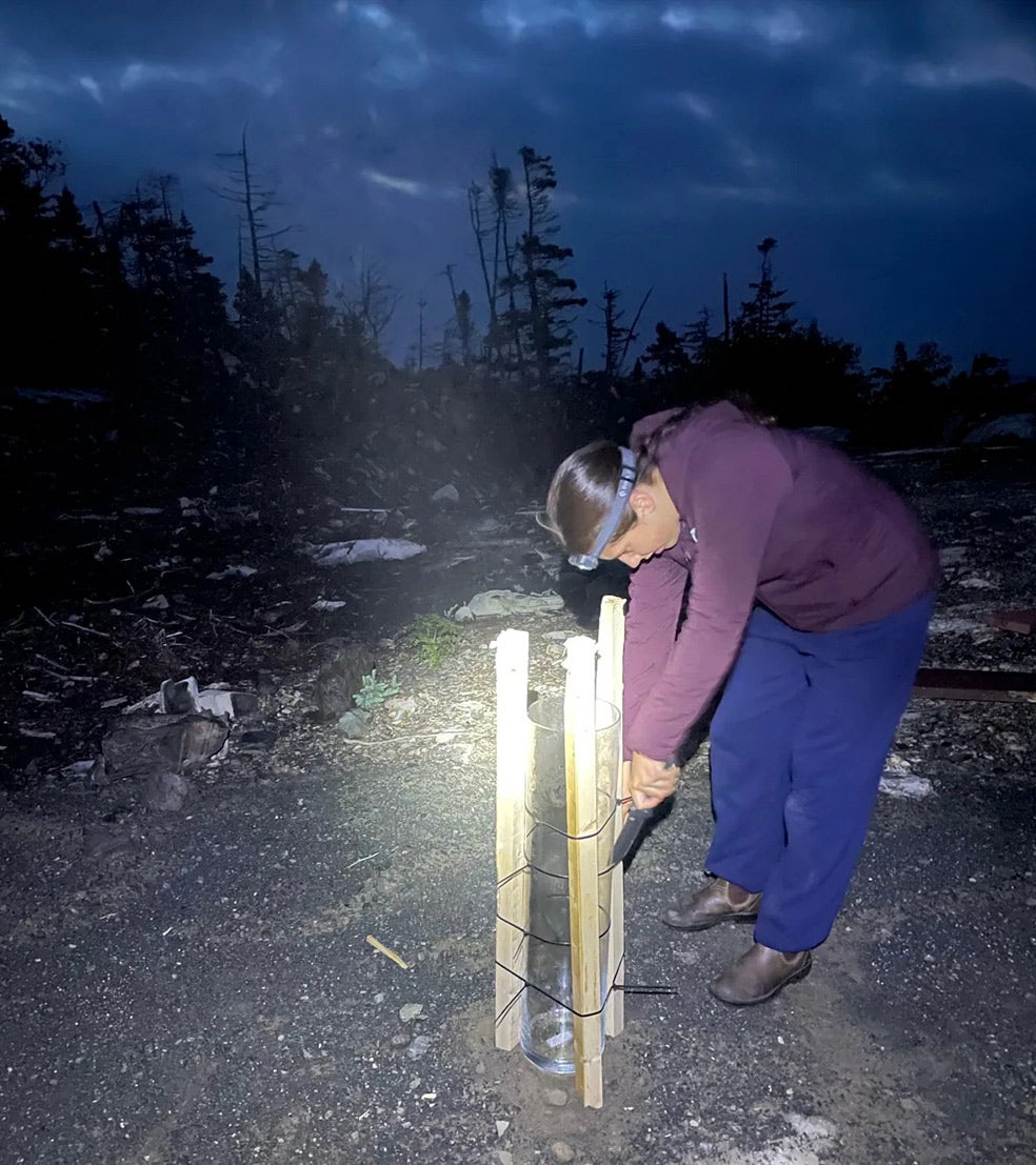 Una estudiante de la Universidad de Dalhousie utiliza un cilindro de vidrio para recolectar partículas de microplástico durante la tormenta de 2021 cerca de St. Michaels, una comunidad en la península de Avalon en Terranova (Canadá).
