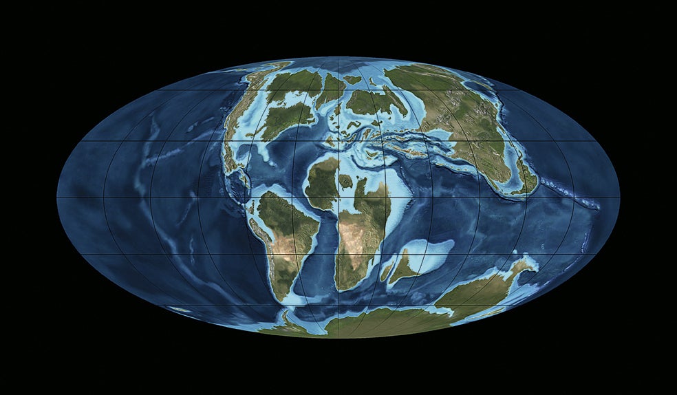 Hace 66 millones de años el nivel del mar era considerablemente más alto que el actual. En su punto máximo, solo un 18 por ciento de la superficie de la Tierra estaba sobre el nivel de las aguas (hoy lo está el 29 por ciento). El clima terrestre era cálido y las regiones polares estaban casi libres de hielo. Los dinosaurios eran los vertebrados dominantes en el planeta. Lo fueron desde el inicio del Jurásico (hace 200 millones años) hasta el final del Cretácico, es decir, durante 135 millones de años.
