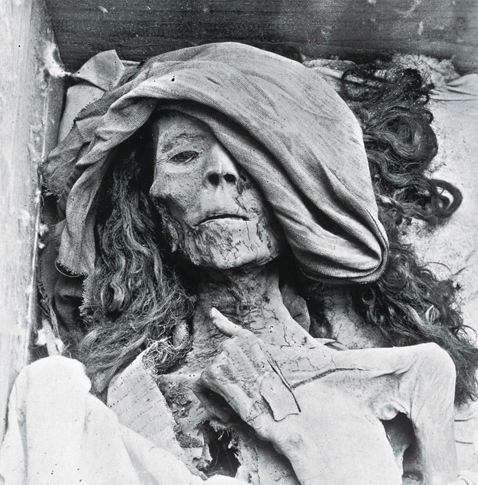 La llaman 'La anciana dama' y podría ser la gran reina Tiy. Es la momia con los cabellos más largos de todo el Valle de los Reyes. Antecesora de Ajenatón y Nefertiti, se cree que fue trasladada de su tumba original a un escondrijo para ponerla a salvo de los saqueadores de tumbas.