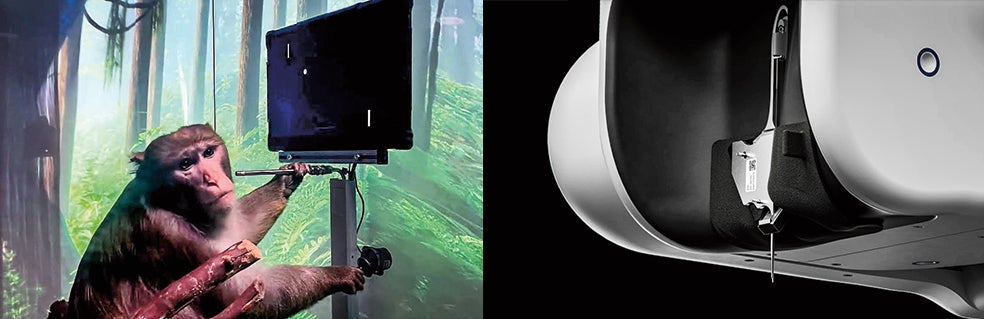 Varios de los macacos que recibieron implantes fueron sacrificados por complicaciones tras la cirugía: quemaduras por el calentamiento de las baterías, hemorragias, trastornos de la conducta… Neuralink admitió errores, pero asegura haberlos subsanado y que los monos más espabilados ahora se entretienen jugando a videojuegos en los que mueven el cursor con sus mentes. La crisis de opinión pública —consideran en la empresa— parece superada.