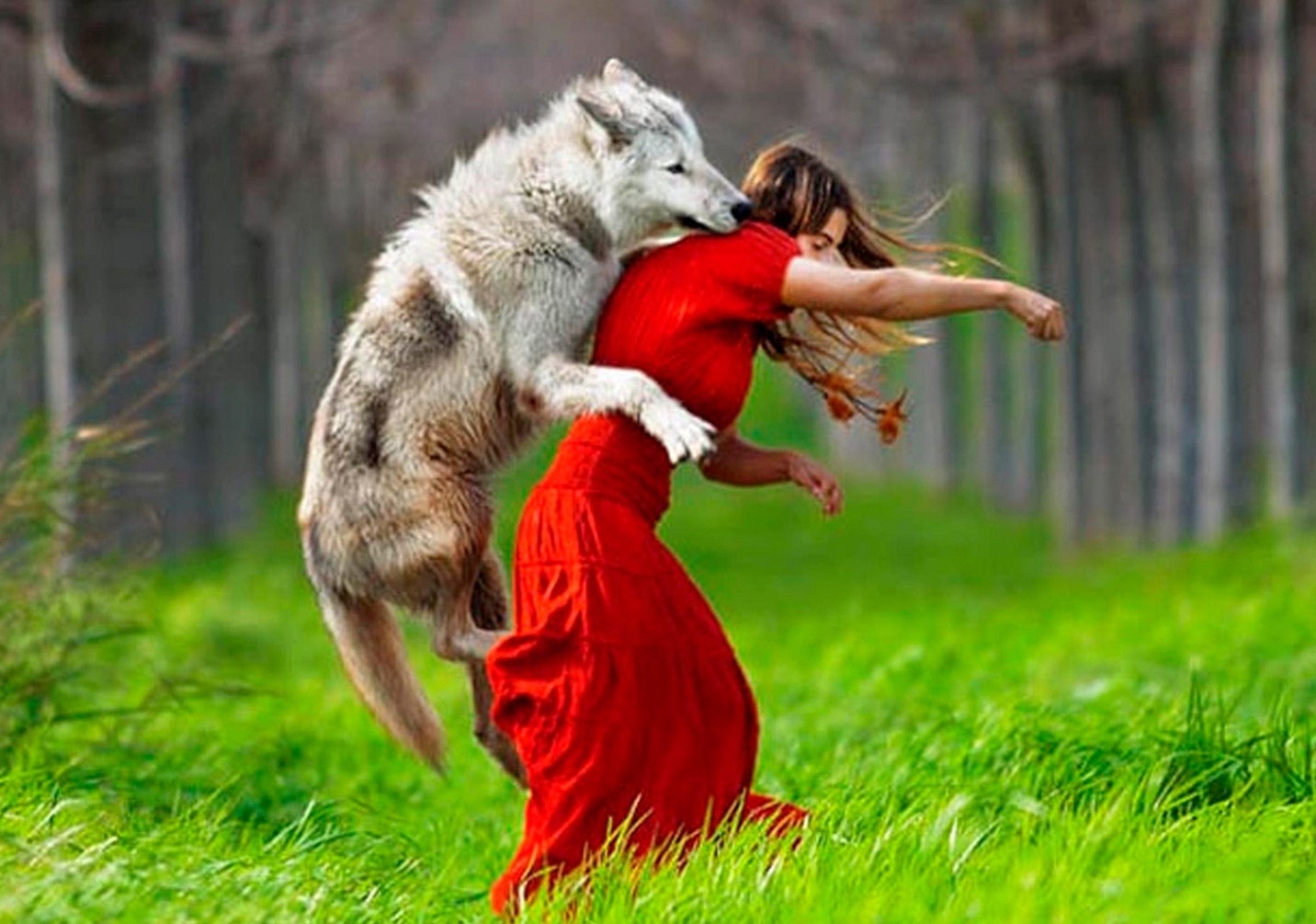 Imagen - Los cuentos de los hermanos Grimm no eran para niños