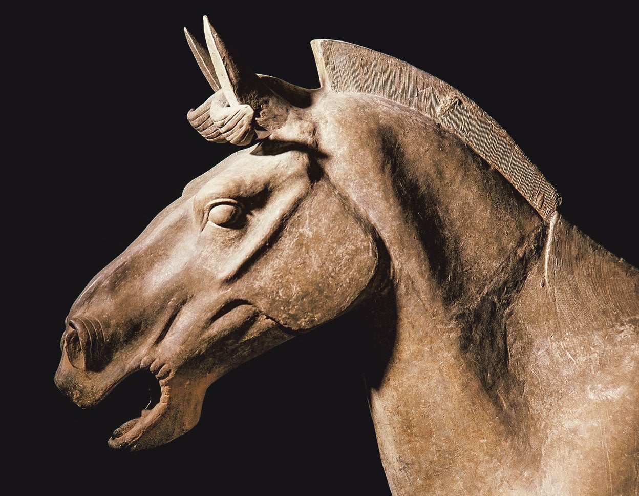También se han hallado unos 600 caballos, animal clave en la expansión imperial china. La mayoría tira de carros de combate conducidos por soldados.