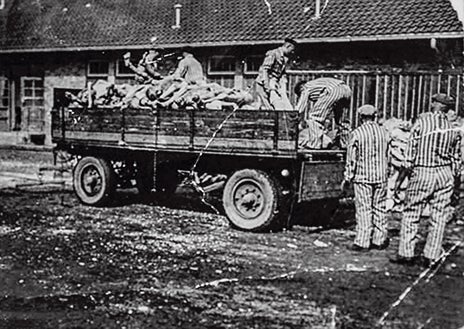 Imagen secundaria 1 - La peripecia de David. Tras la liberación de Auschwitz, David Wisnia se unió al Ejército americano. Regresó a Dachau y dejó registro del horror con fotos como la de la izquierda. En 1946 logró emigrar a Estados Unidos. Allí se nacionalizó (era polaco), se casó con Hope (derecha) y tuvo cuatro hijos.