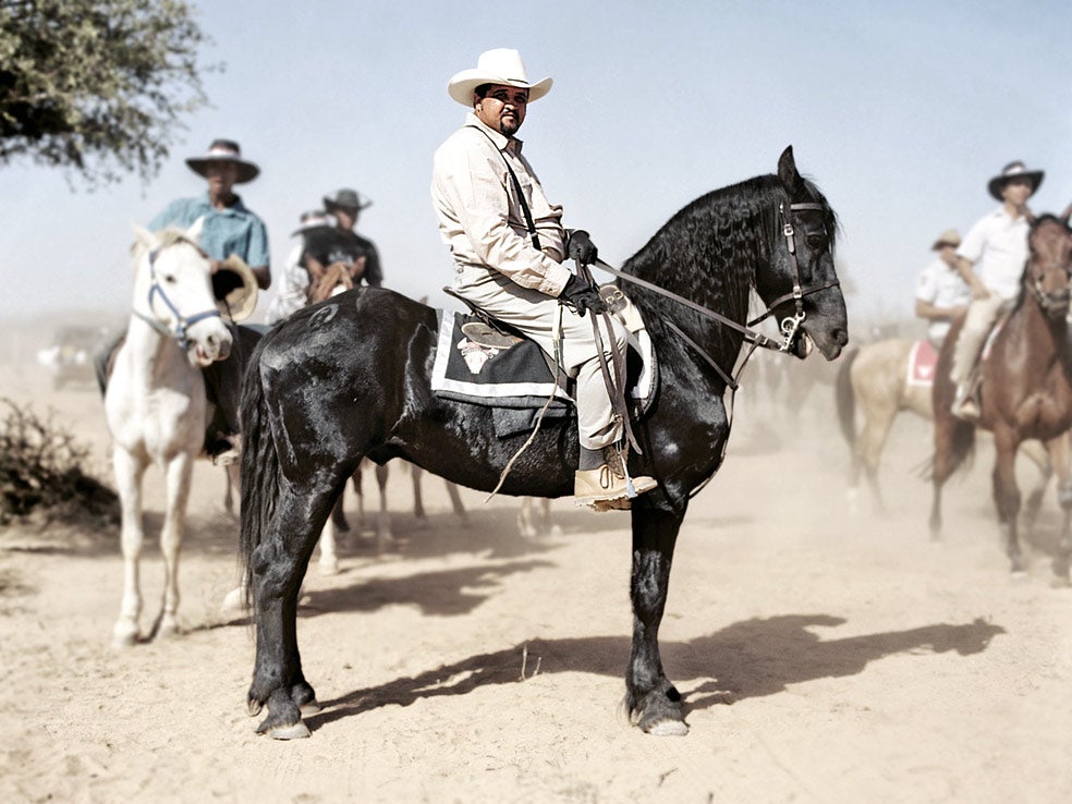 Zeino Theron pastorea –ayudado por un grupo de hombres– las vacas y cabras de la finca que posee su padre a unos 70 kilómetros de Windhoek, capital de Namibia.