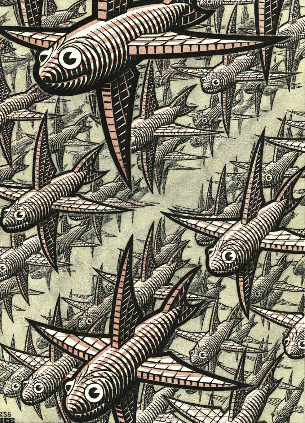 Perspectiva. Para aumentar la sensación de profundidad, el artista representa con menos contraste los objetos (híbridos de pez y avión) más alejados: no es fácil conseguirlo en una xilografía. M. C. Escher lo logra y muestra la hondura del espacio.