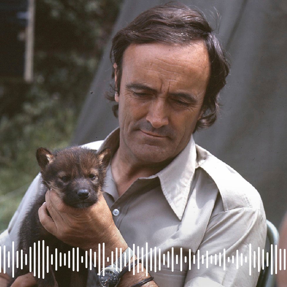 Podcast | Félix Rodríguez de la Fuente: los secretos de un naturalista