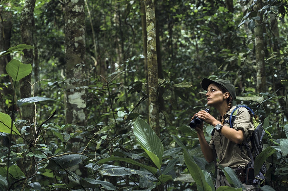Otro de los alicientes para escapar de la civilización es poder avistar animales en su hábitat natural.