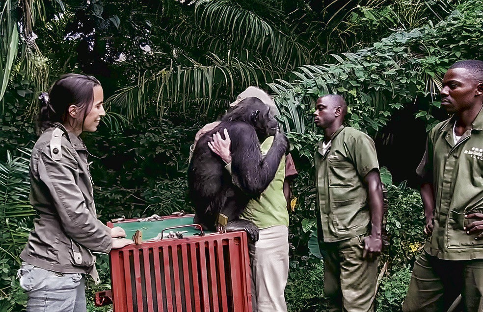 Wounda llegó al centro de Tchimpounga esquelética y moribunda. Rebeca le salvó la vida. Años después, cuando la liberaron, al poco de salir de la jaula, se dio la vuelta y se fundió en un intenso abrazo con Jane Goodall. La imagen dio la vuelta al mundo.