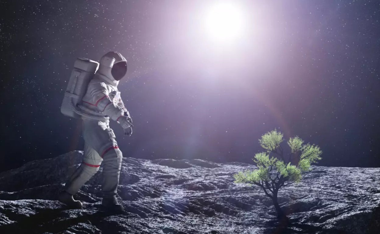 El asombroso uso de la orina de los baños portátiles de los festivales: cultivar plantas en la Luna