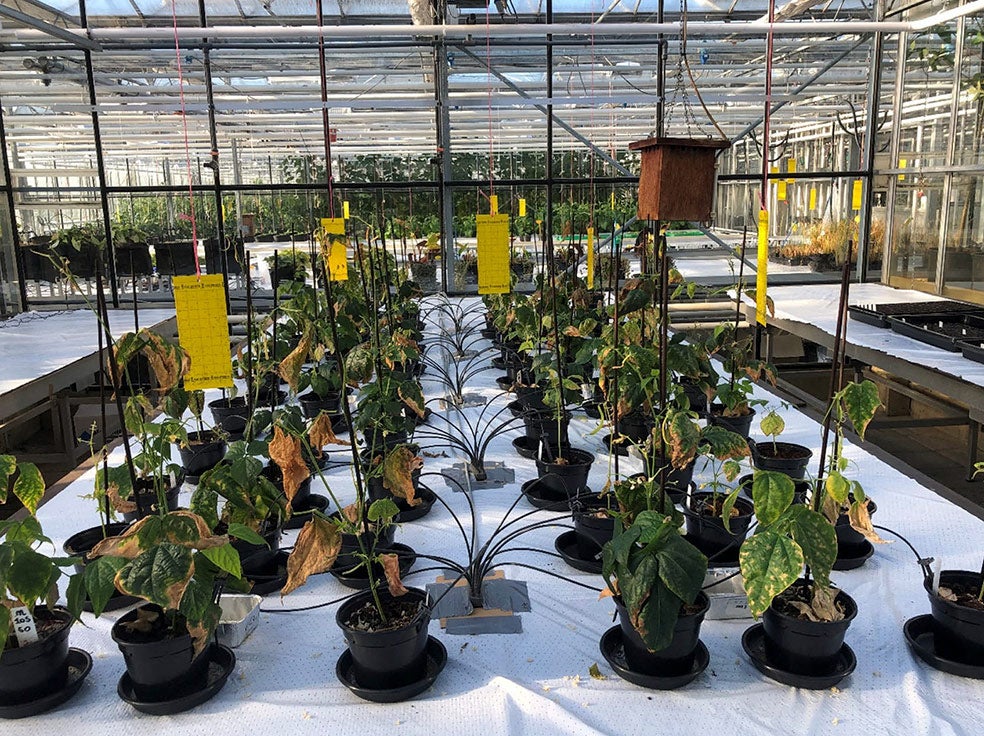 La NASA ya es capaz de reciclar en agua potable prácticamente todos los fluidos humanos (como la orina y el sudor), lo que podría abrir un abanico de posibilidades al utilizar también la orina para los futuros cultivos lunares.