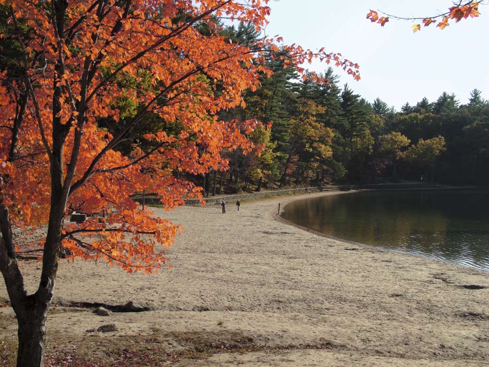 «El hombre es rico en proporción a la cantidad de cosas de las que puede prescindir», dijo Thoreau. Vivió en el lago Walden casi como un asceta, pero visitaba la ciudad con frecuencia. Y tras dos años de retiro regresó a la vida urbana.